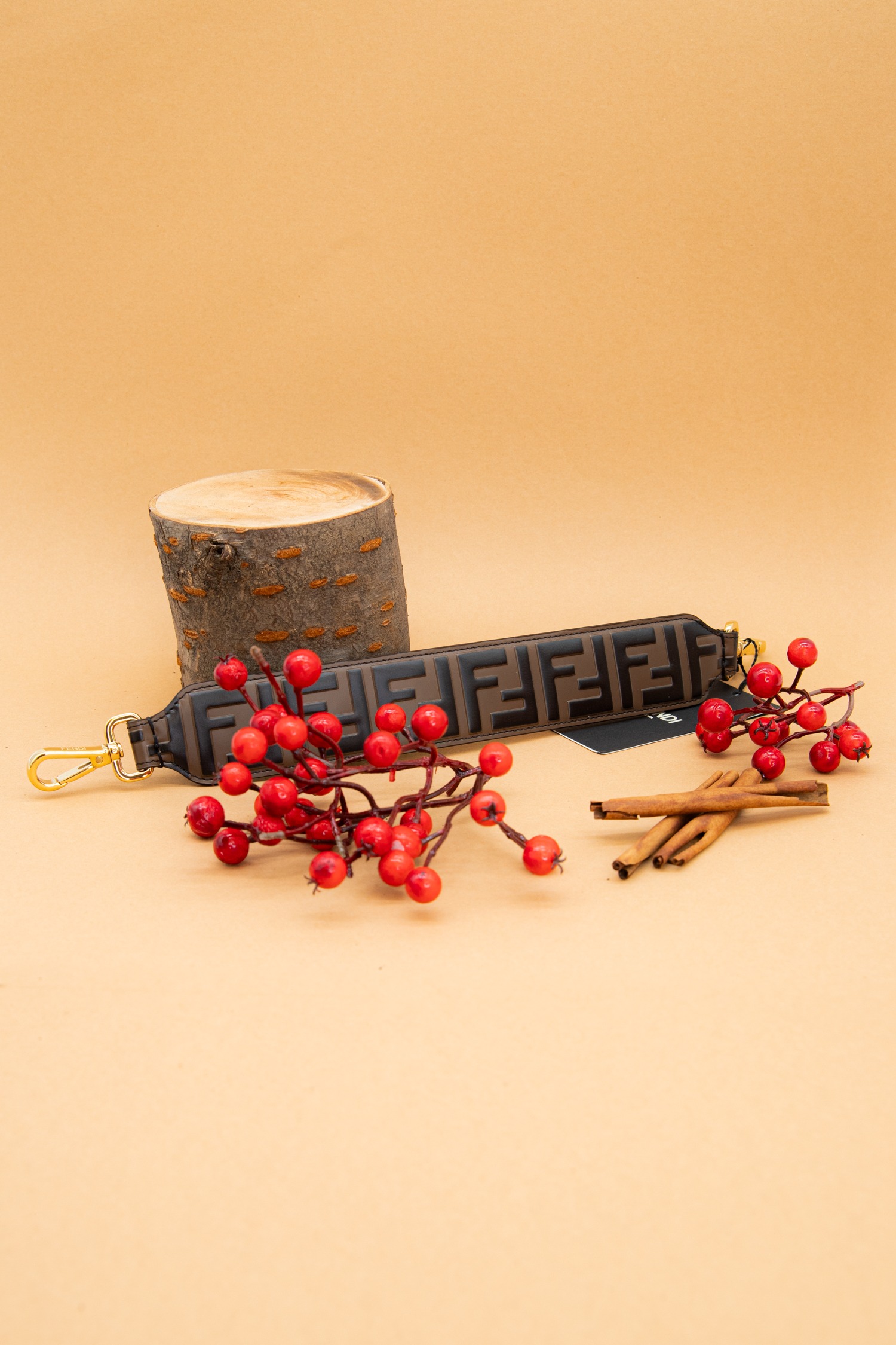 Fendi "Mini Strap You" Schultergurt in Braun