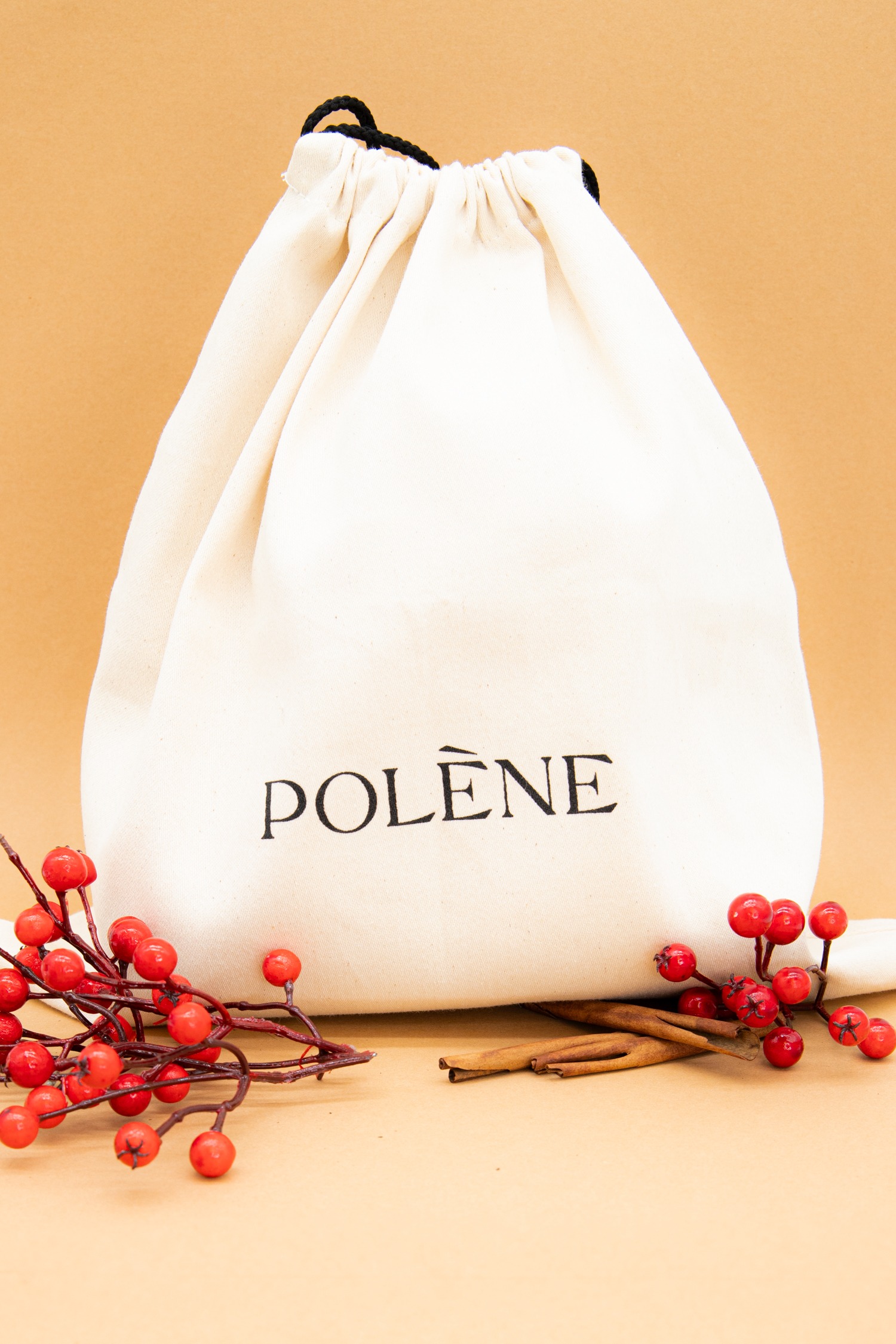 Polène "Numéro Neuf Mini" Handtasche in Altrosa