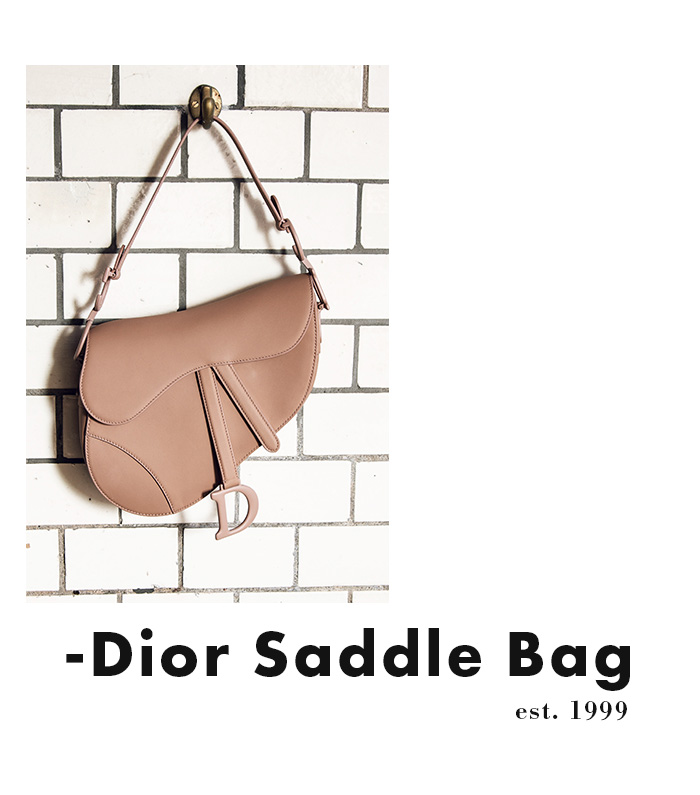 Dior Saddle Bag - Tasche mit Kultstatus (gebraucht)