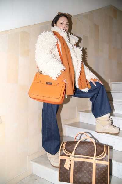 Louis Vuitton "Sac Chien 40" Hundetragetasche aus Monogram Canvas