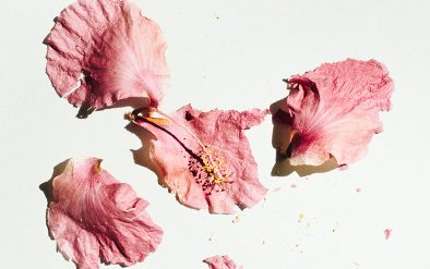 Geschenkideen zum Mutter- und Vatertag - Entdecke exklusive Designer-Accessoires