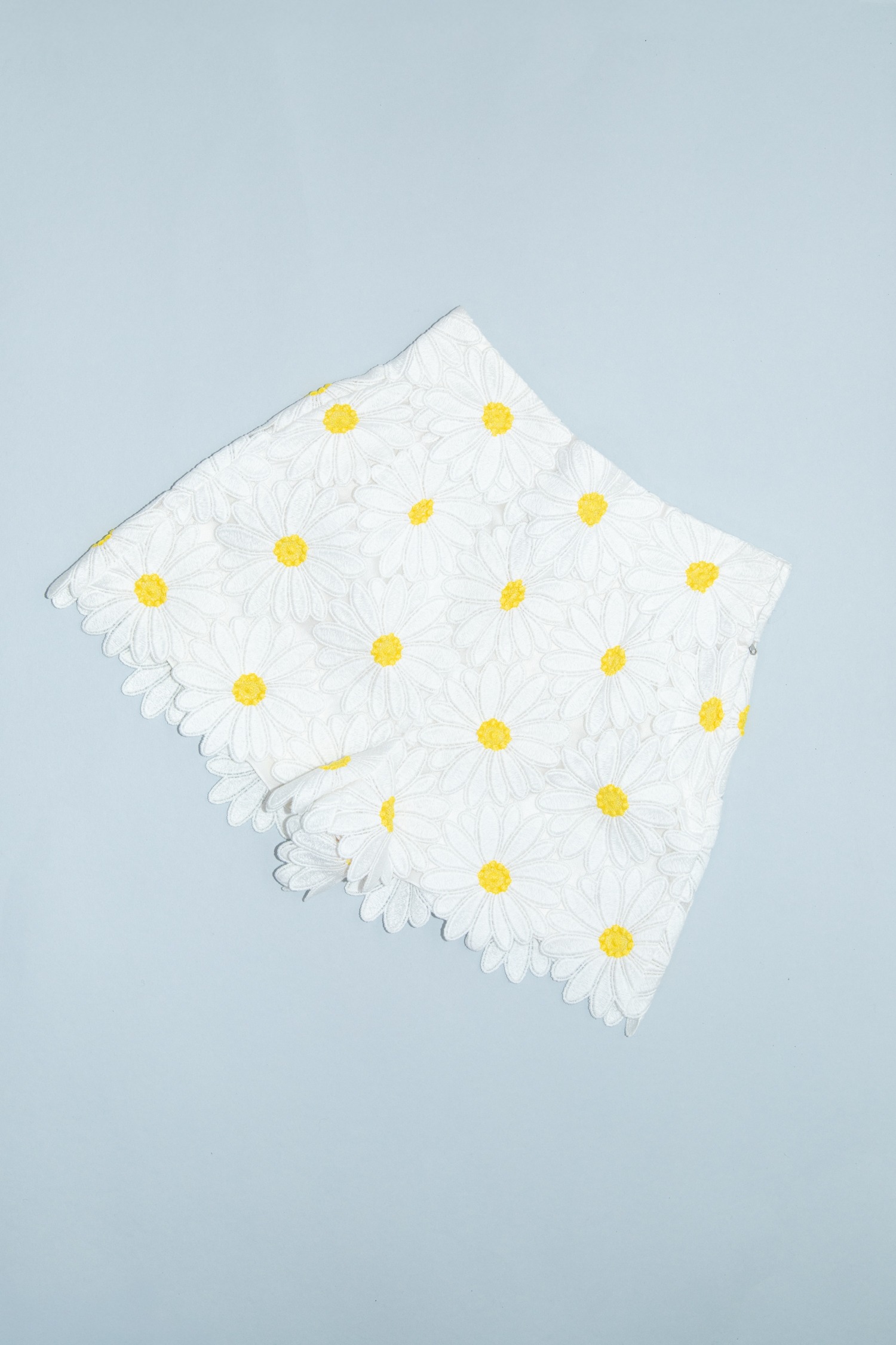 Dolce & Gabbana Shorts mit Gänseblümchen in Weiß und Gelb