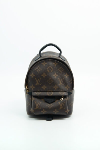 Louis Vuitton "Palm Springs Mini" Rucksack in Dunkelbraun, Schwarz und Gold