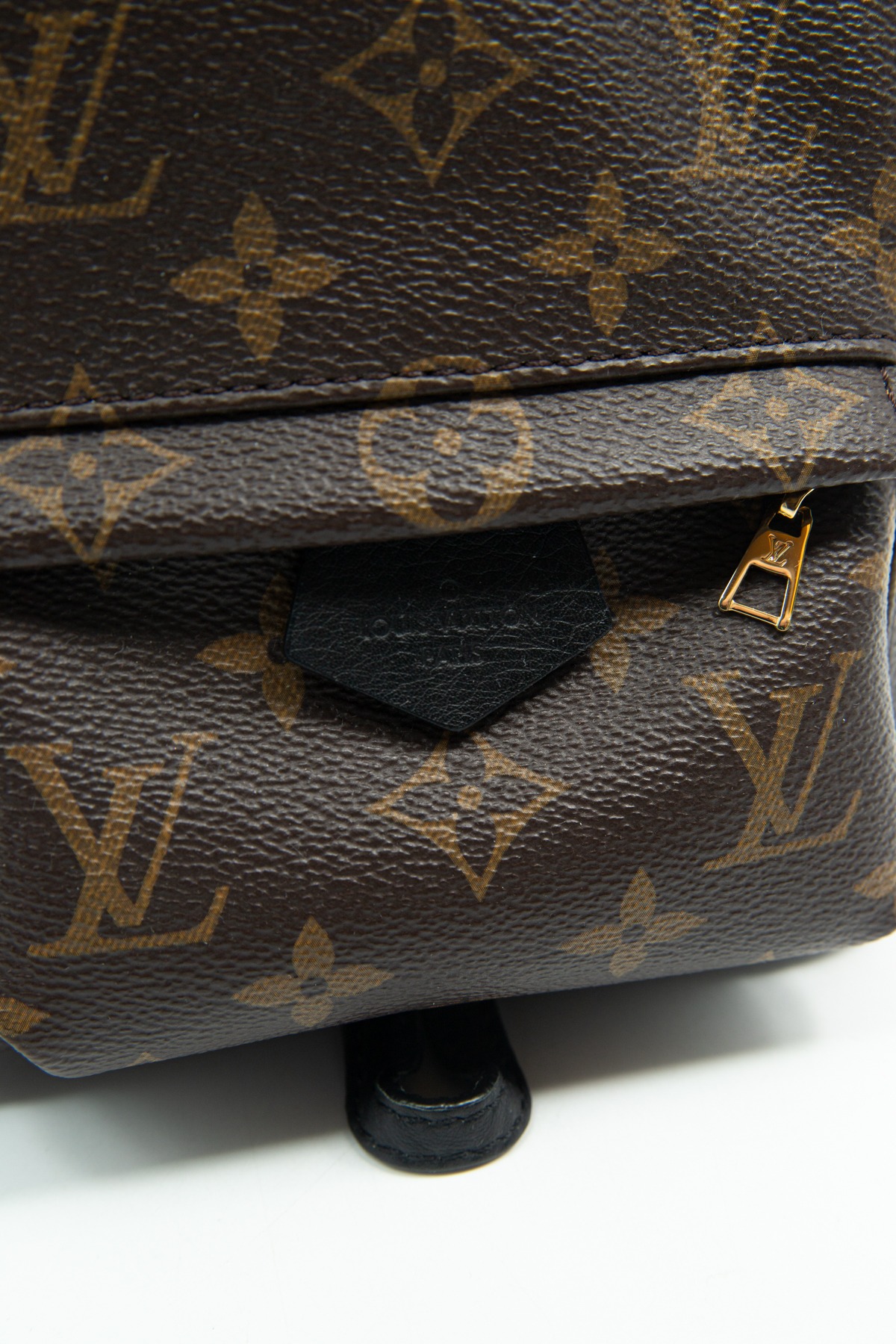 Louis Vuitton "Palm Springs Mini" Rucksack in Dunkelbraun, Schwarz und Gold
