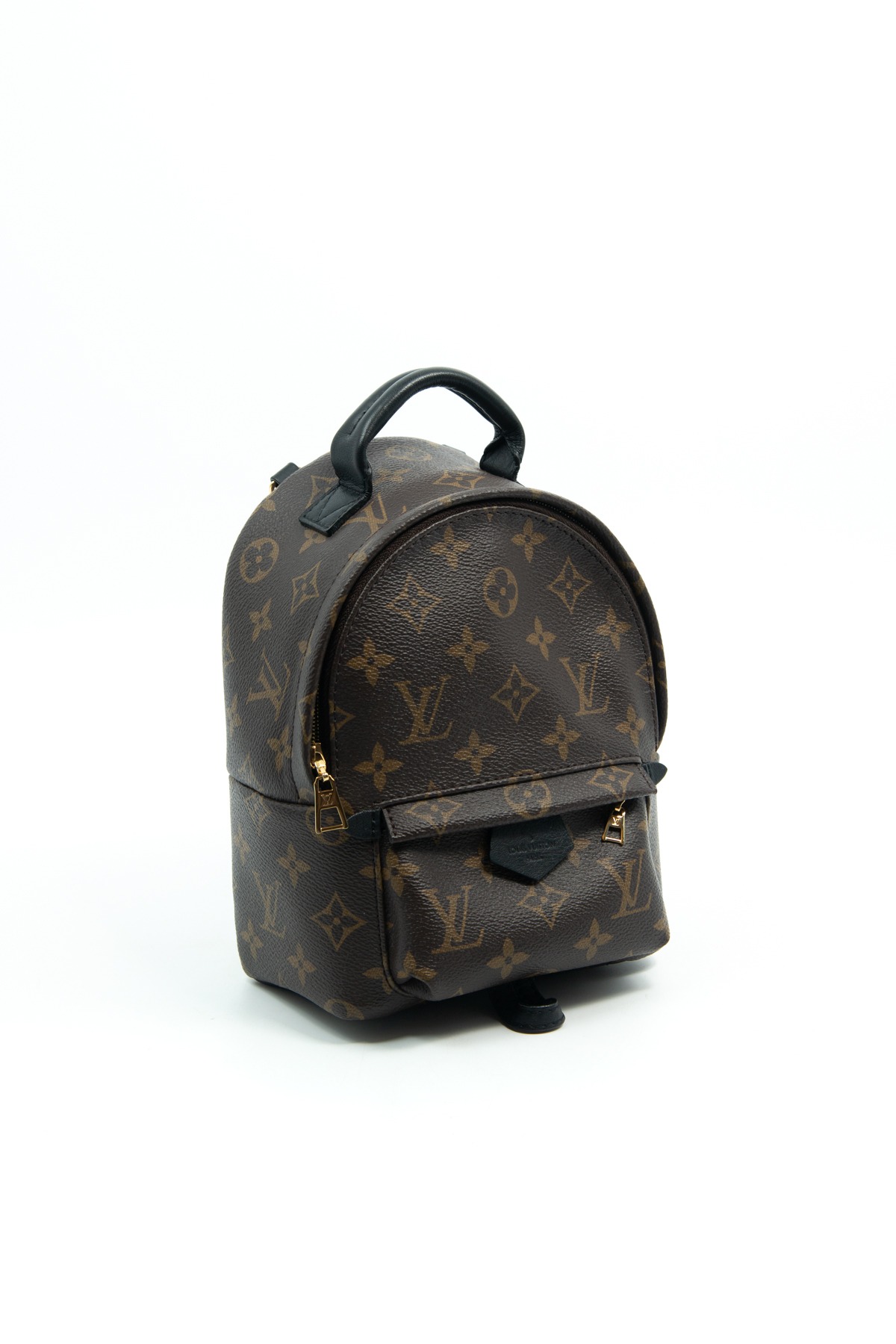 Louis Vuitton "Palm Springs Mini" Rucksack in Dunkelbraun, Schwarz und Gold