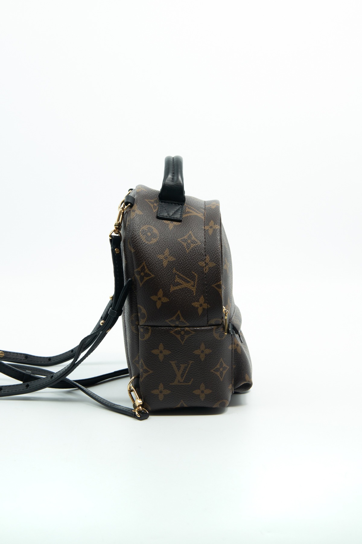 Louis Vuitton "Palm Springs Mini" Rucksack in Dunkelbraun, Schwarz und Gold