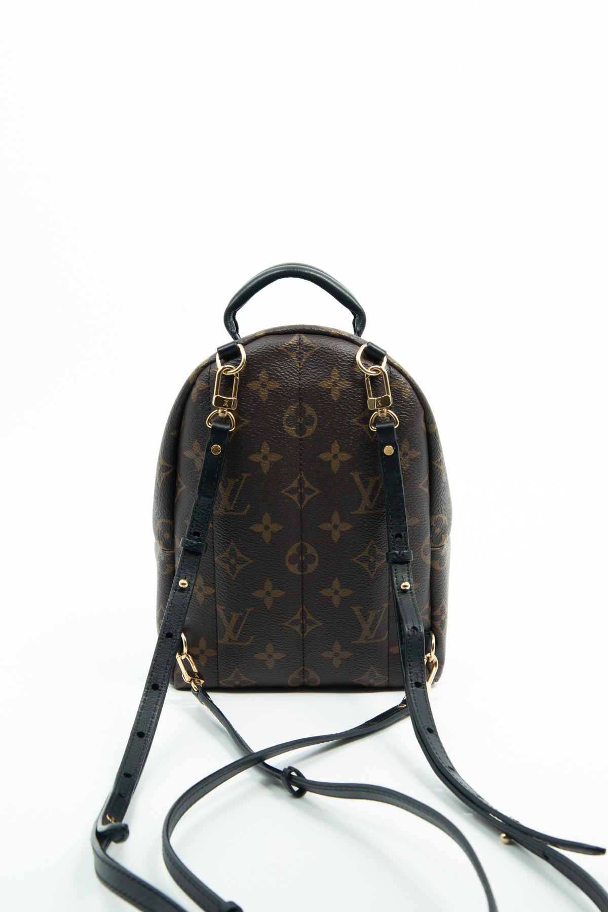 Louis Vuitton "Palm Springs Mini" Rucksack in Dunkelbraun, Schwarz und Gold