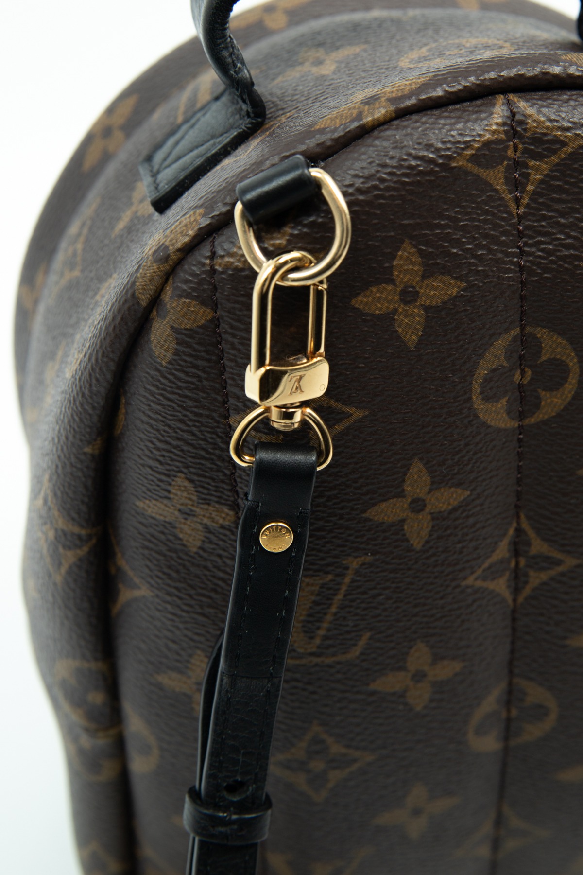 Louis Vuitton "Palm Springs Mini" Rucksack in Dunkelbraun, Schwarz und Gold