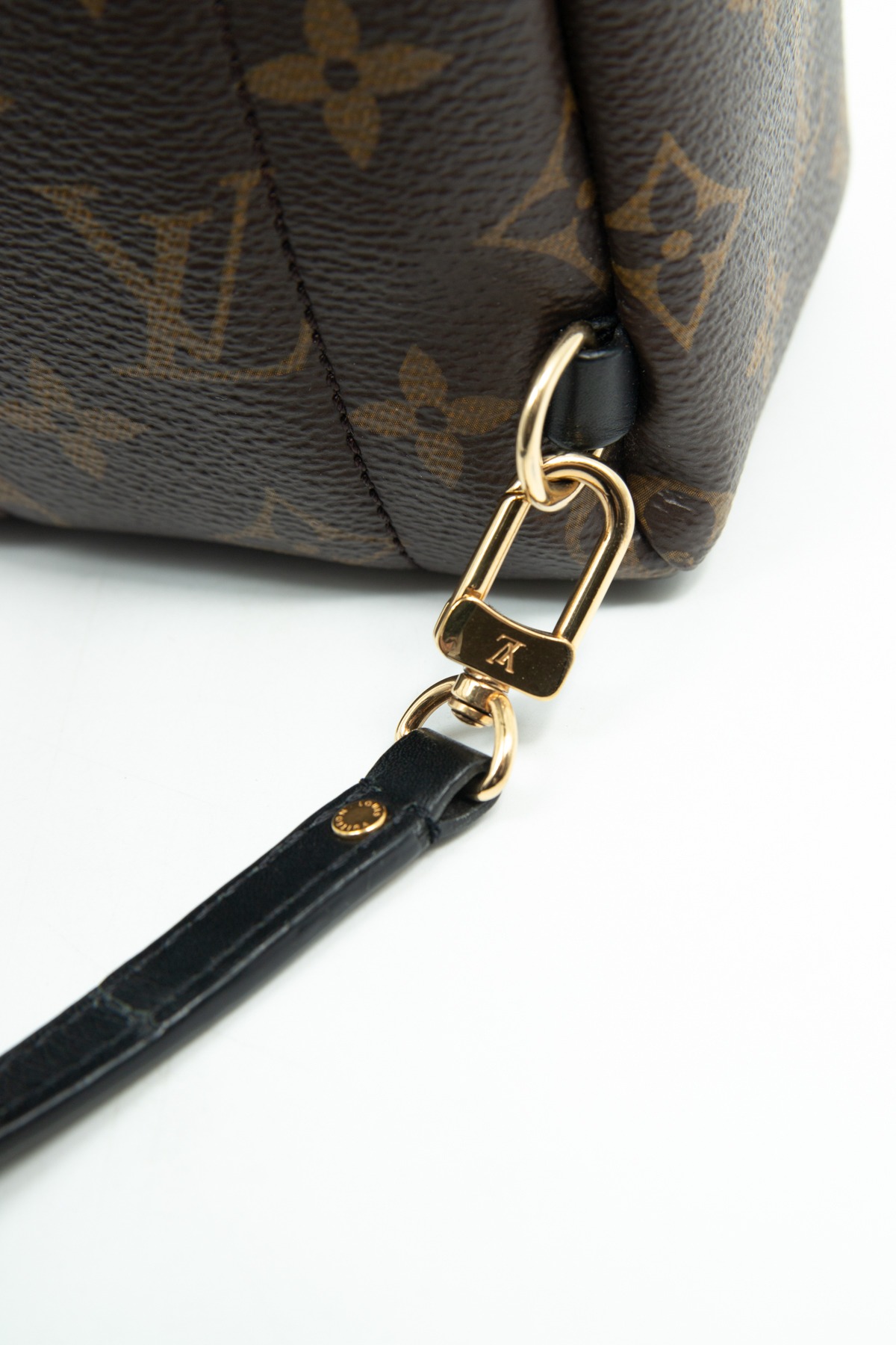 Louis Vuitton "Palm Springs Mini" Rucksack in Dunkelbraun, Schwarz und Gold