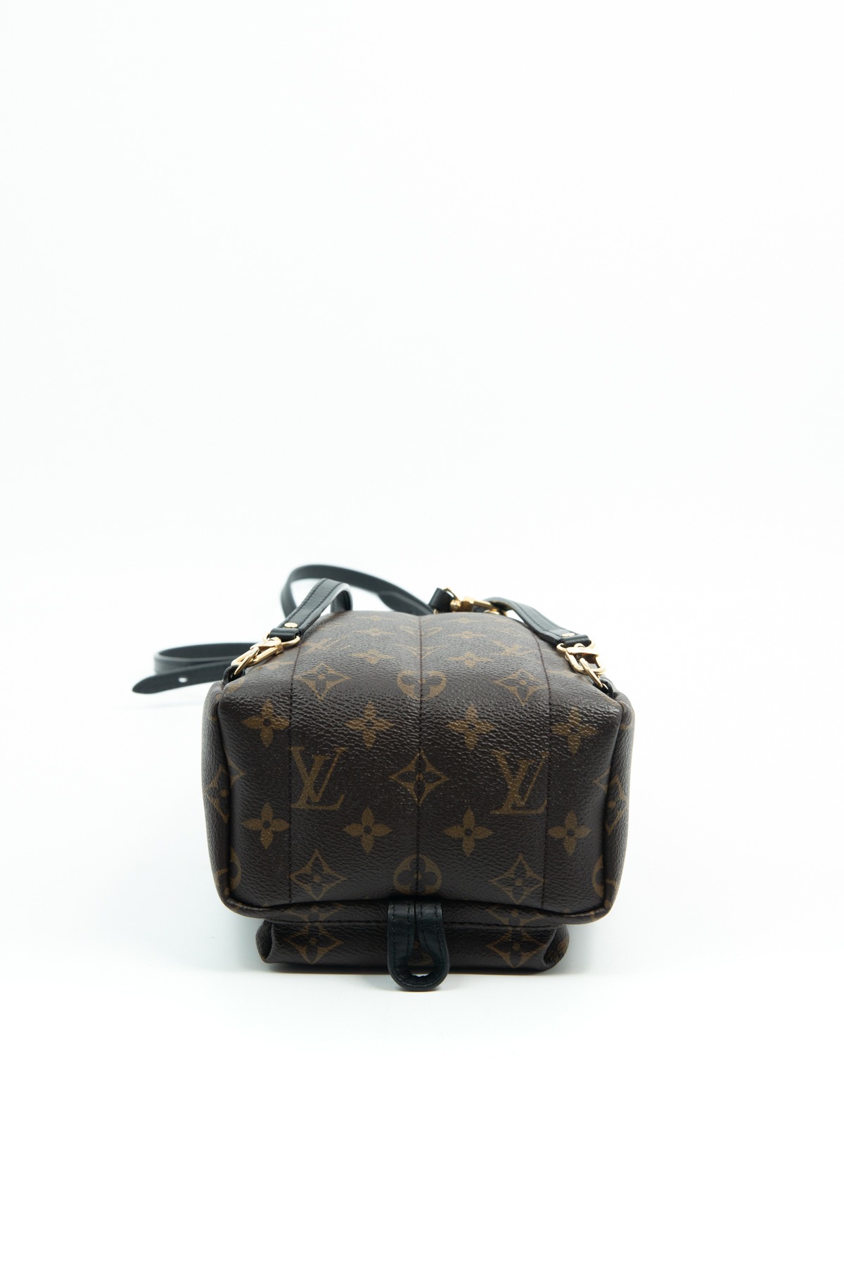 Louis Vuitton "Palm Springs Mini" Rucksack in Dunkelbraun, Schwarz und Gold