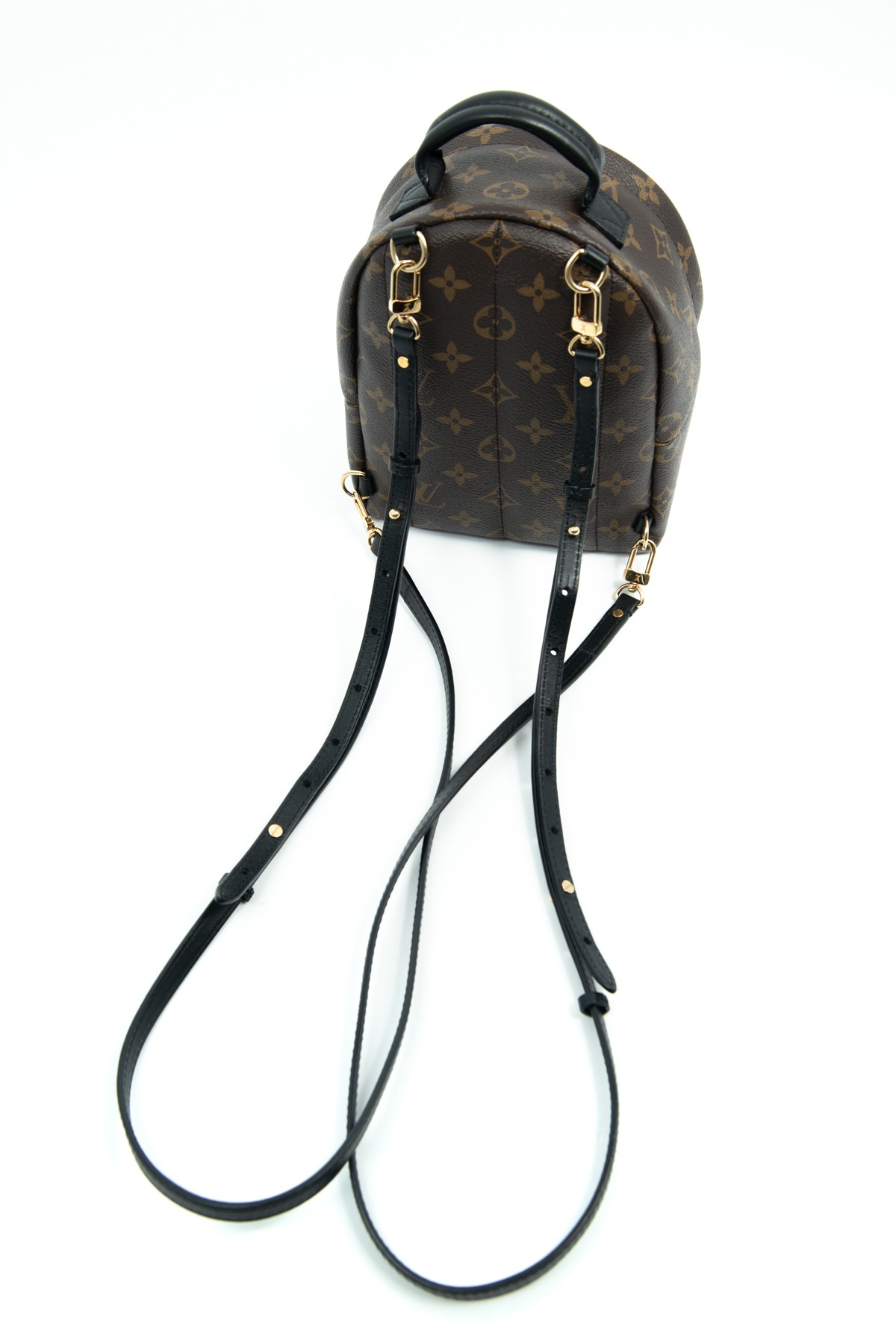 Louis Vuitton "Palm Springs Mini" Rucksack in Dunkelbraun, Schwarz und Gold