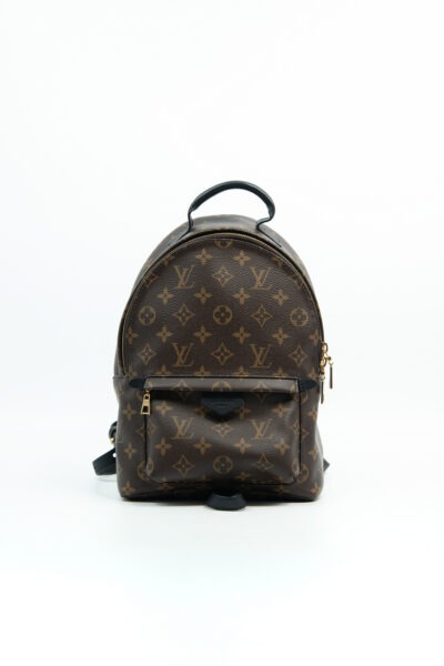 Louis Vuitton "Palm Springs MM" Rucksack in Dunkelbraun, Schwarz und Gold