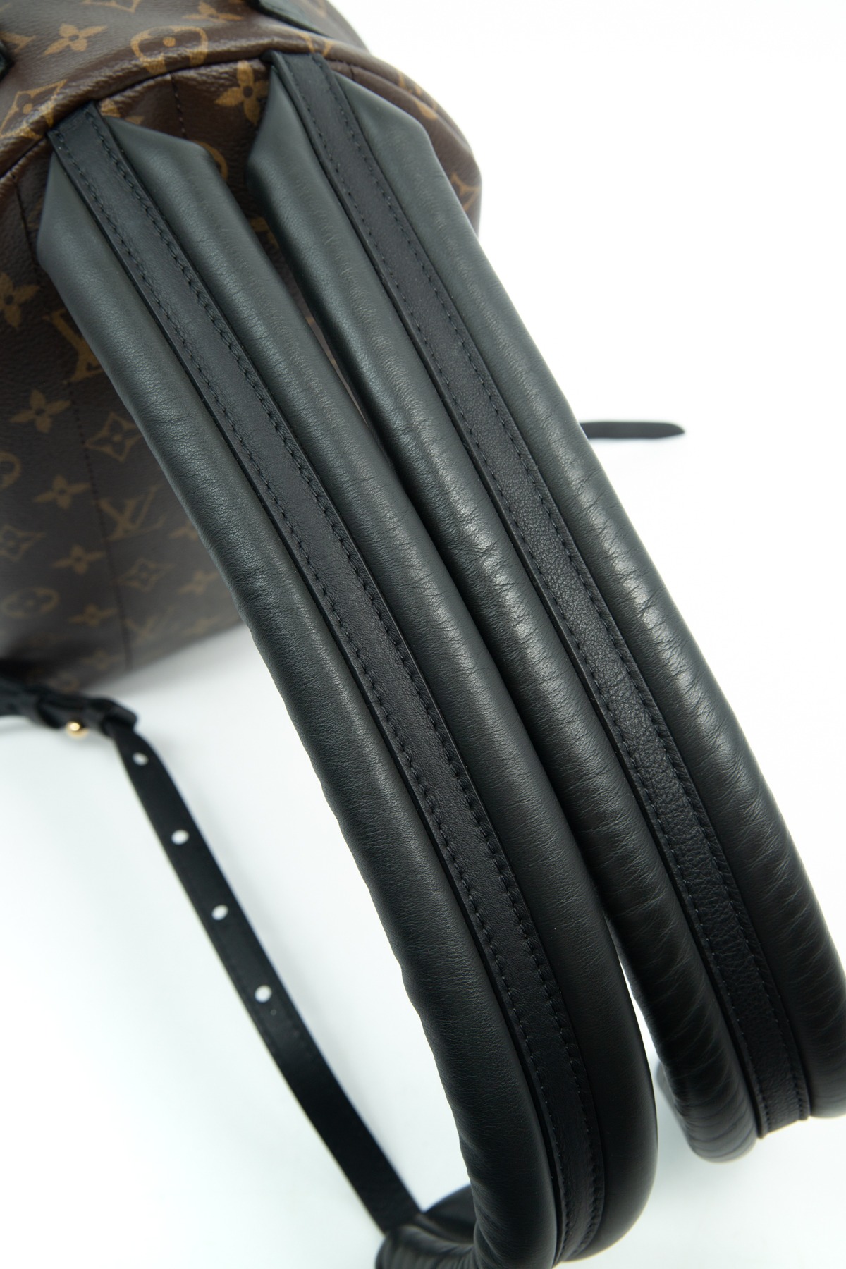 Louis Vuitton "Palm Springs MM" Rucksack in Dunkelbraun, Schwarz und Gold