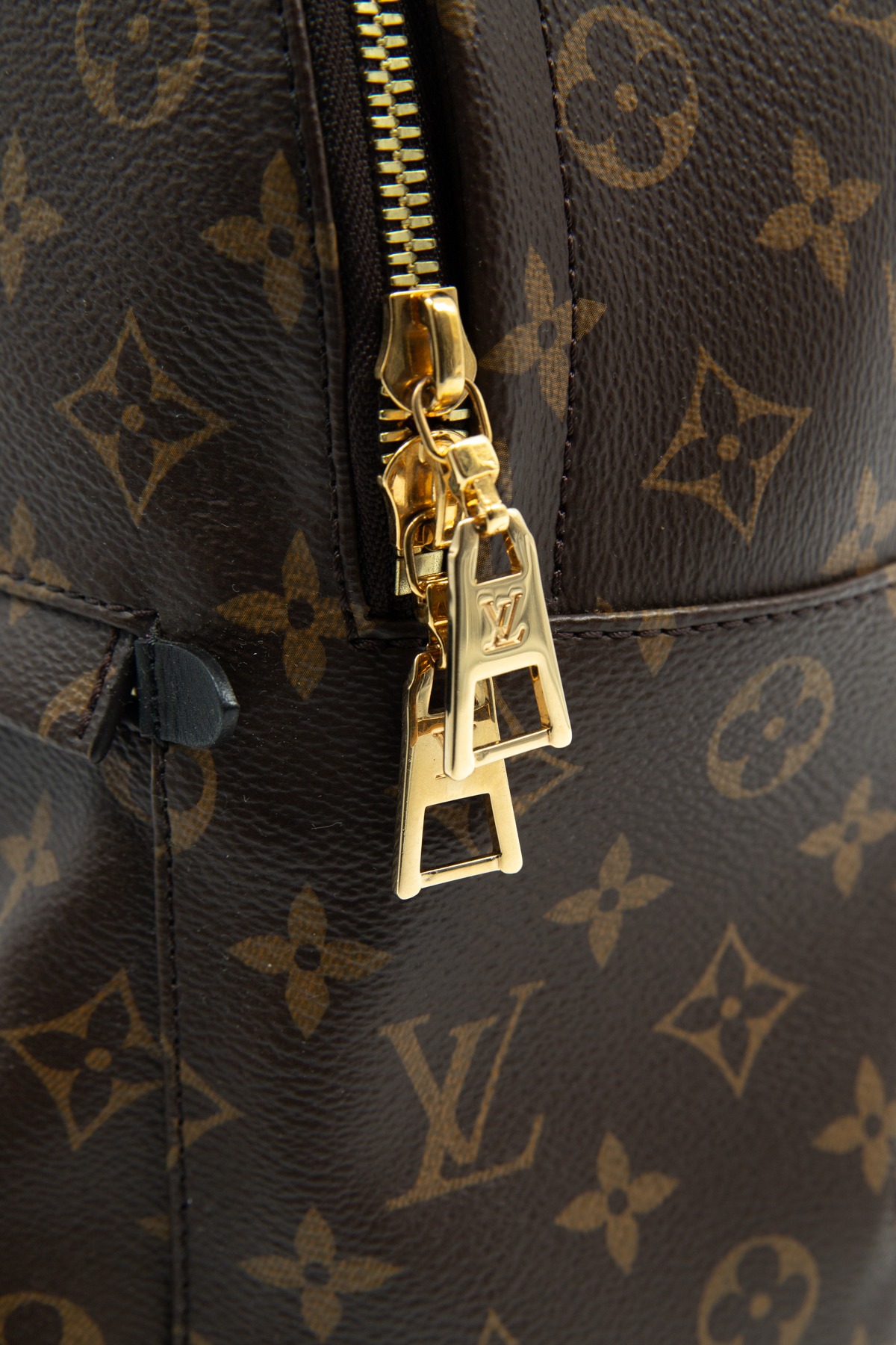 Louis Vuitton "Palm Springs MM" Rucksack in Dunkelbraun, Schwarz und Gold