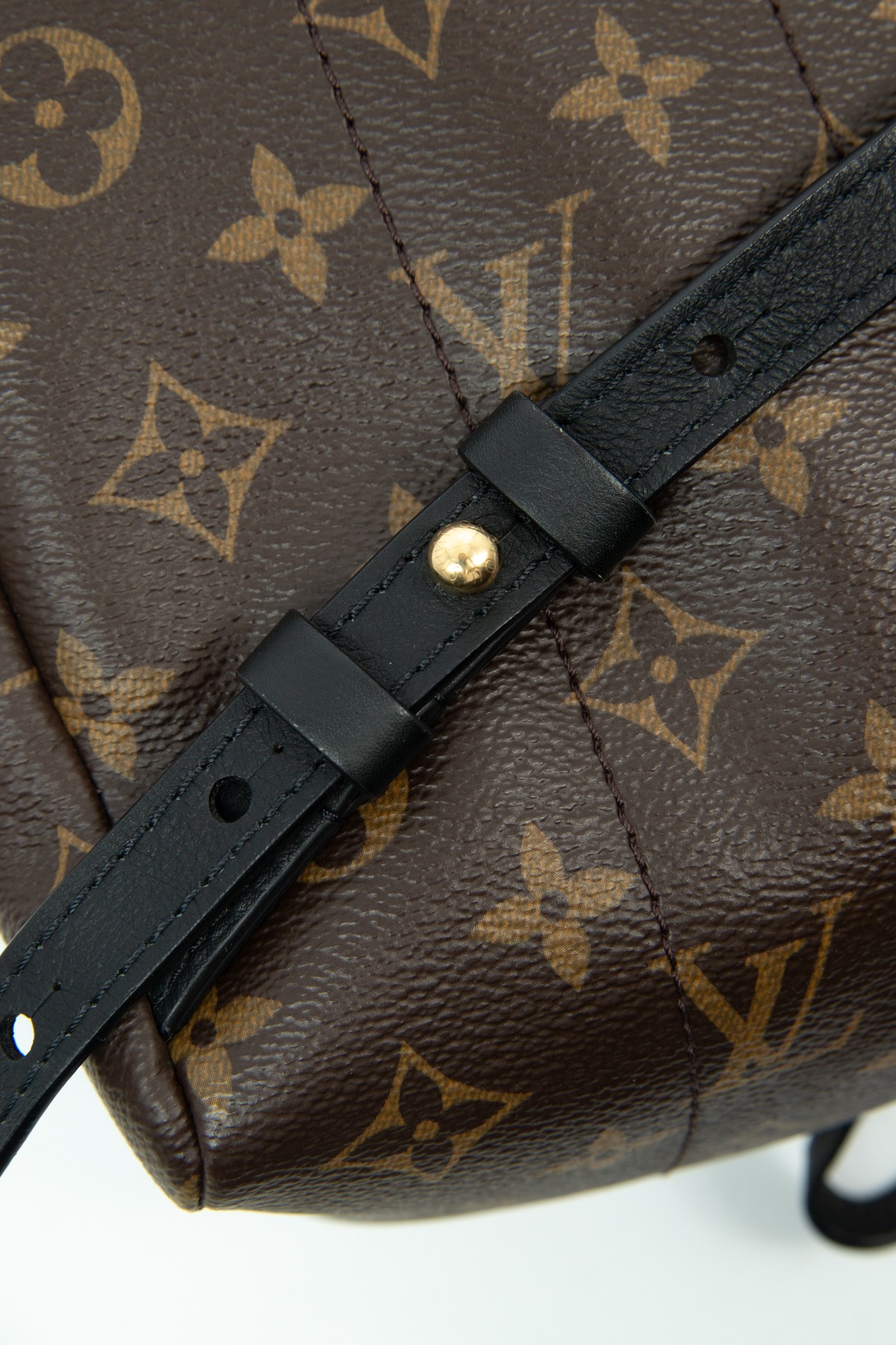 Louis Vuitton "Palm Springs MM" Rucksack in Dunkelbraun, Schwarz und Gold