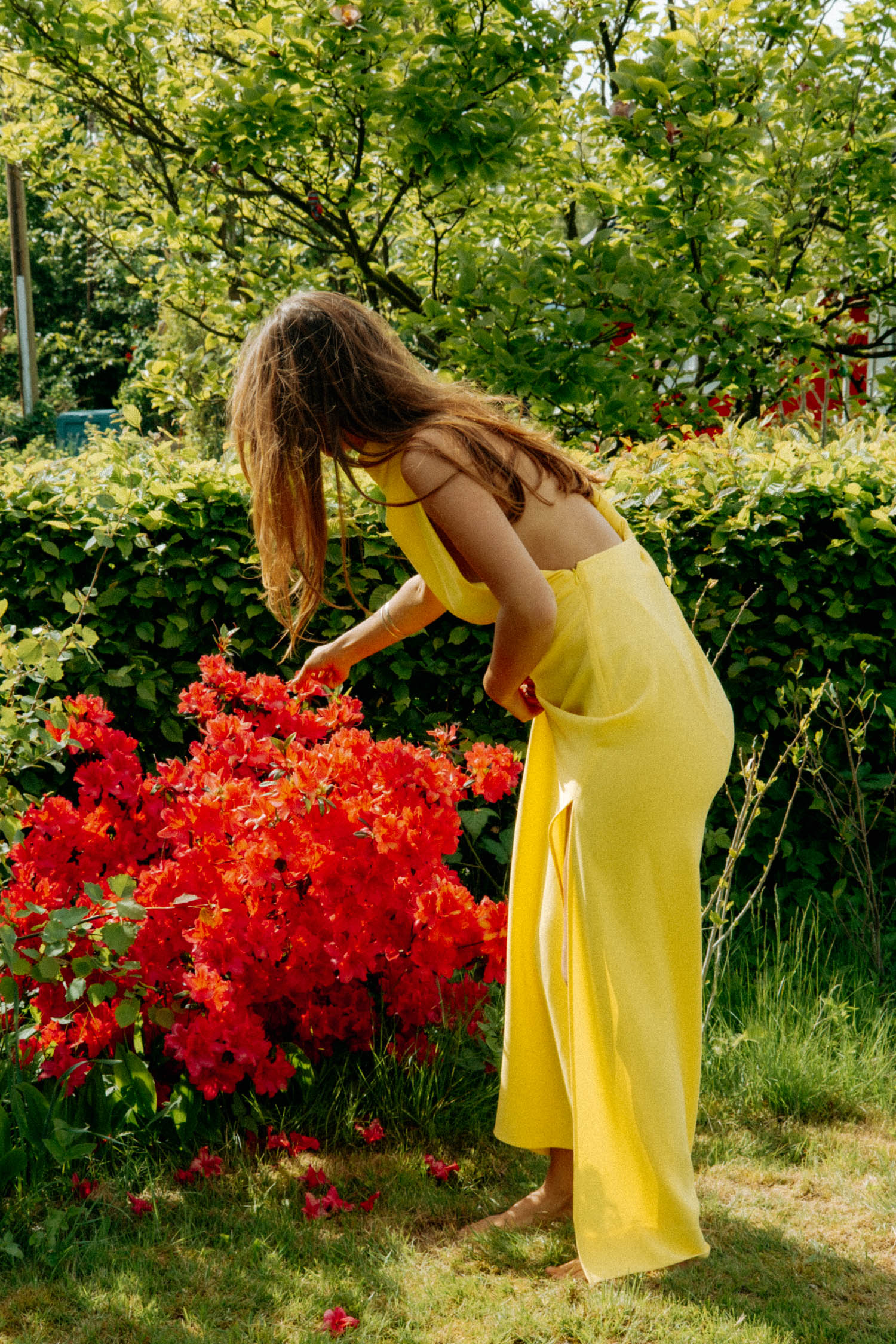 Proenza Schouler Abendkleid in Gelb
