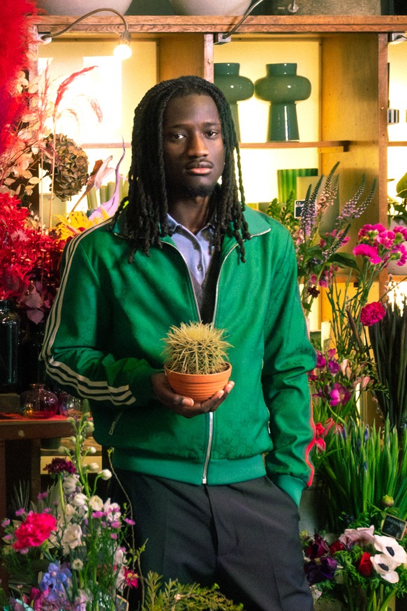 Gucci x Adidas "Trefoil" Jacke in Grün